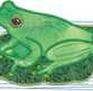 AusfaunaApp Frog