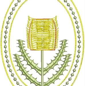 Framed Flora Banksia