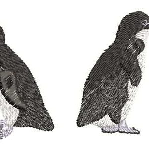 AusBirds Penguin 4