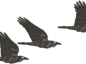 AusBirds Flying Crows