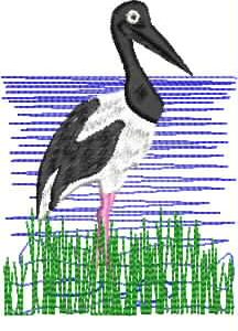 Animate Jabiru