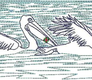 AusFauna Couples Pelicans