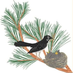 AusBirds Willy Wag Tail and nest