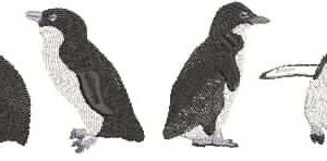 AusBirds 4 Penguins small