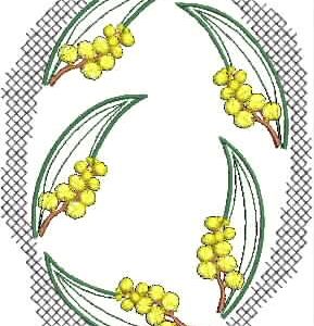 Framed Flora Wattle