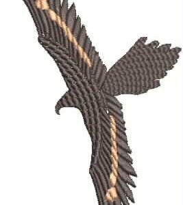 AusBirds Wedgetail Eagle
