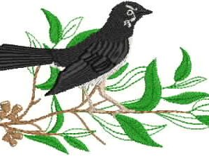 AusBirds Willy Wag Tail