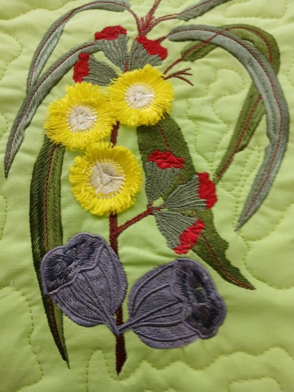 Eucalyptus Erythrocorys fringed